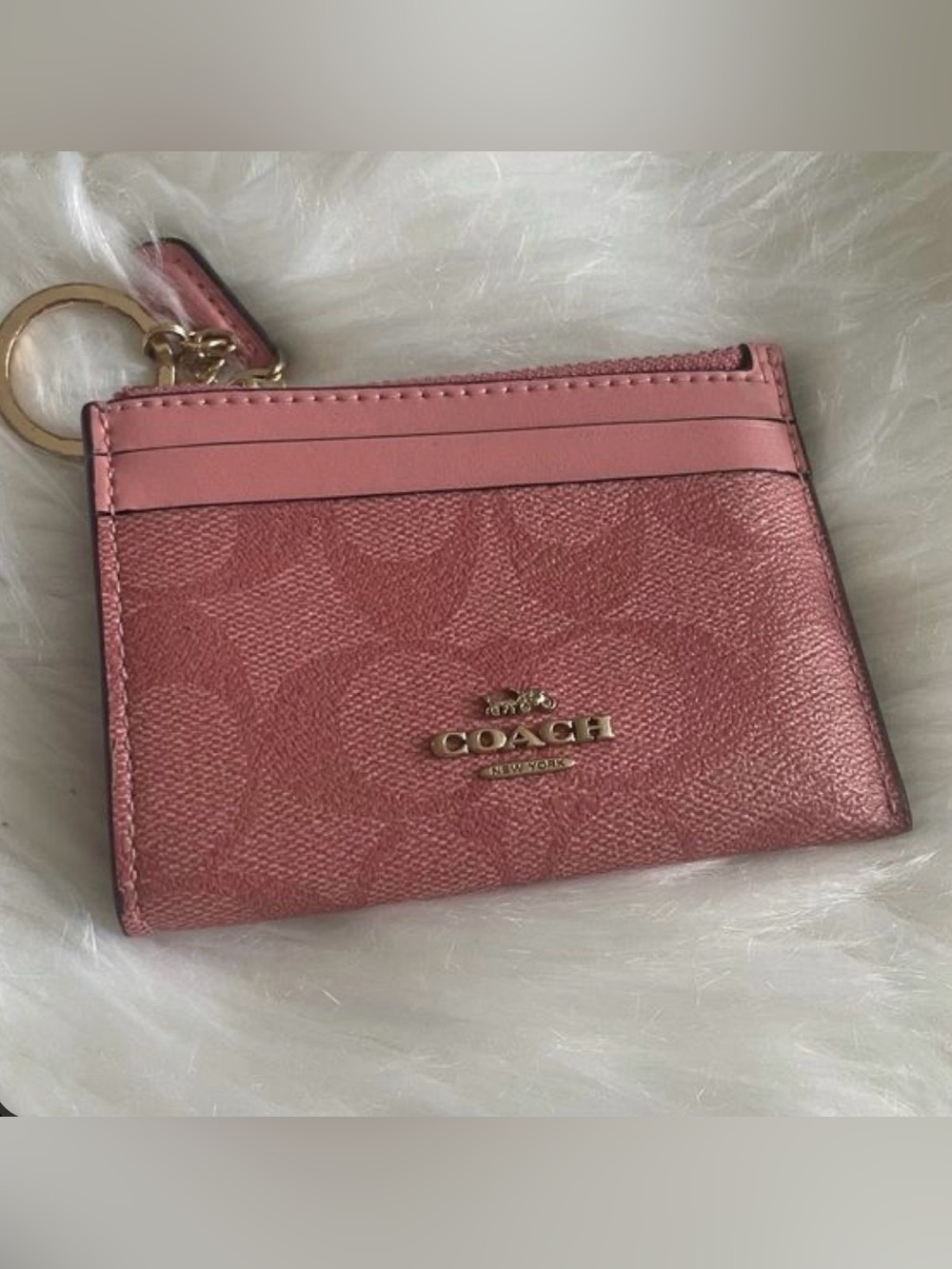 Coach mini ID case in signature canvas